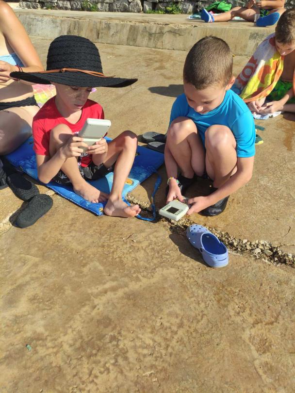 Poletje na Medobčinski zvezi prijateljev mladine Velenje